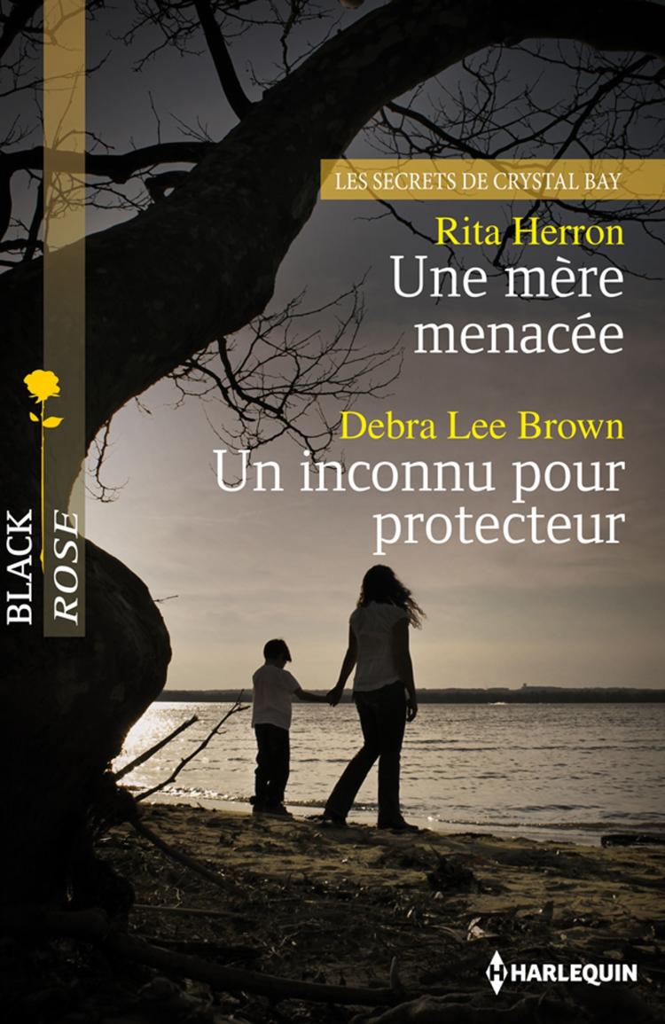 Une mère menacée / Un inconnu pour protecteur