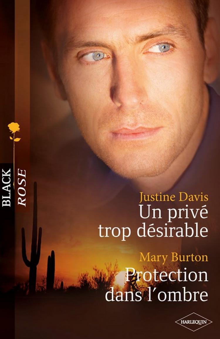 Un privé trop désirable / Protection dans l'ombre