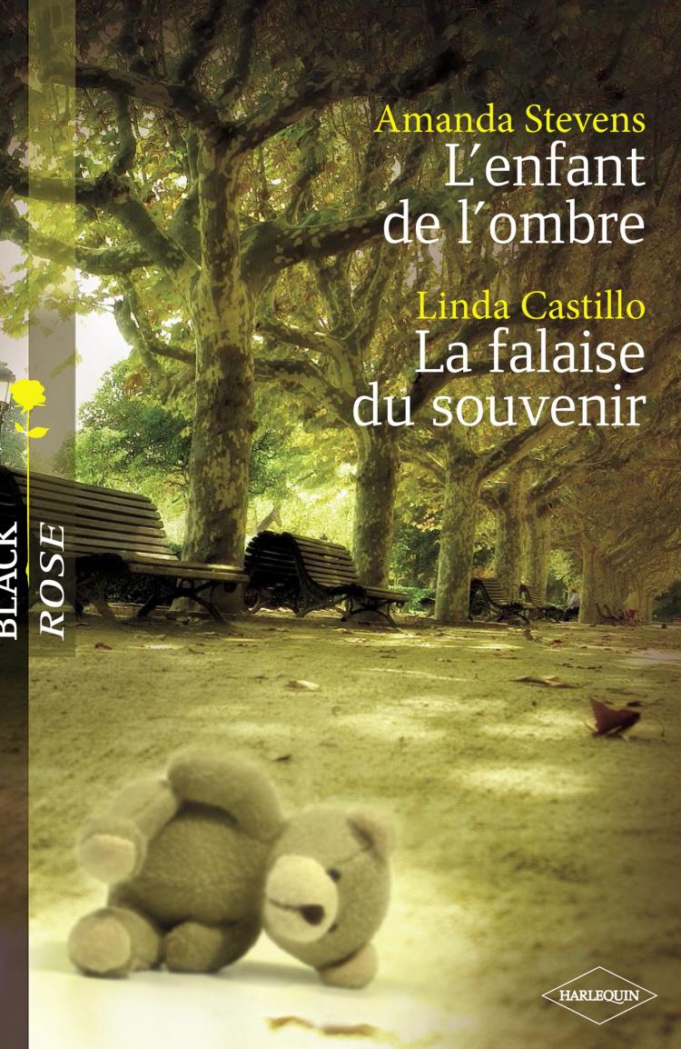 L'enfant de l'ombre / La falaise du souvenir