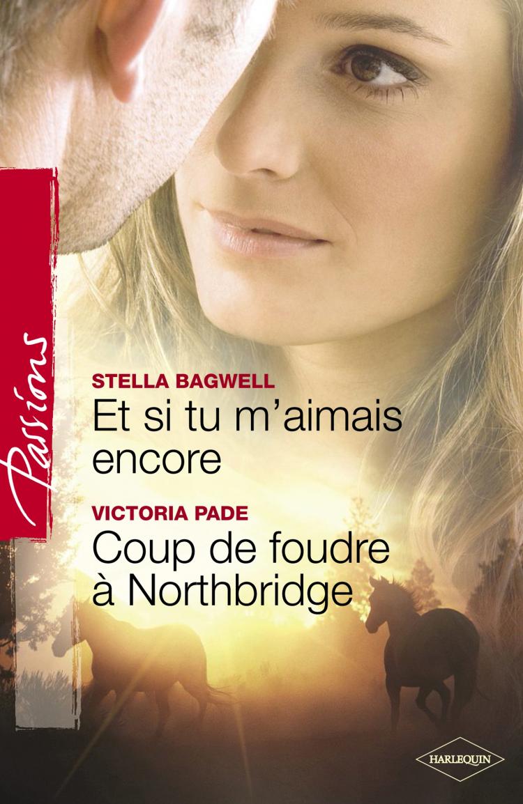 Et si tu m'aimais encore / Coup de foudre à Northbridge