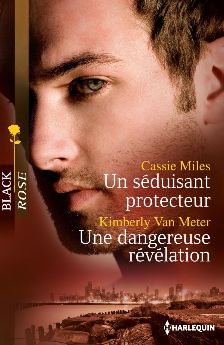 Un séduisant protecteur / Une dangereuse révélation