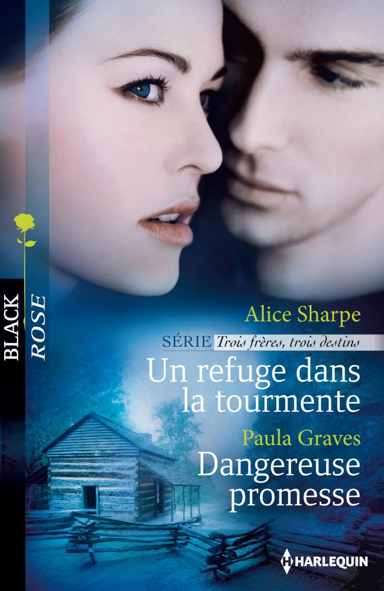 Un refuge dans la tourmente / Dangereuse promesse