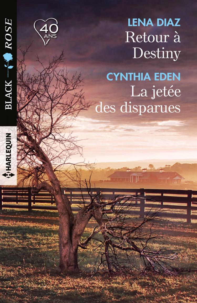 Retour à Destiny / La jetée des disparues