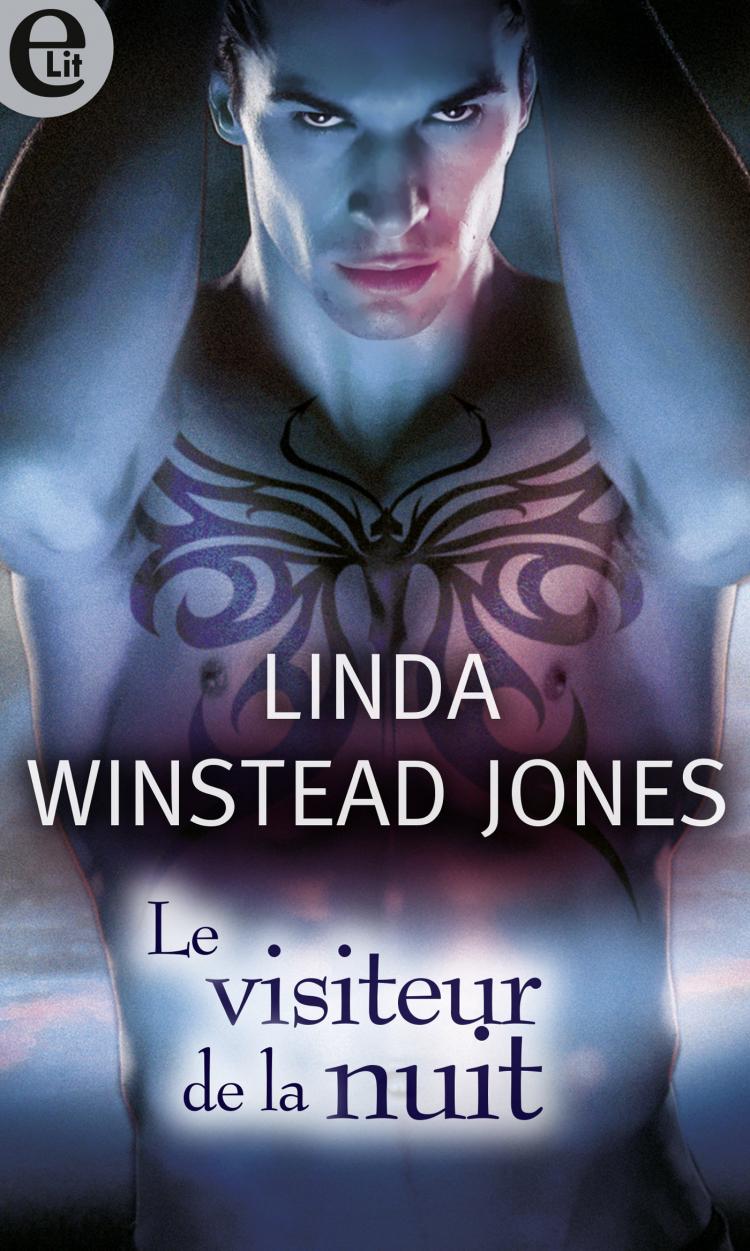 Le visiteur de la nuit