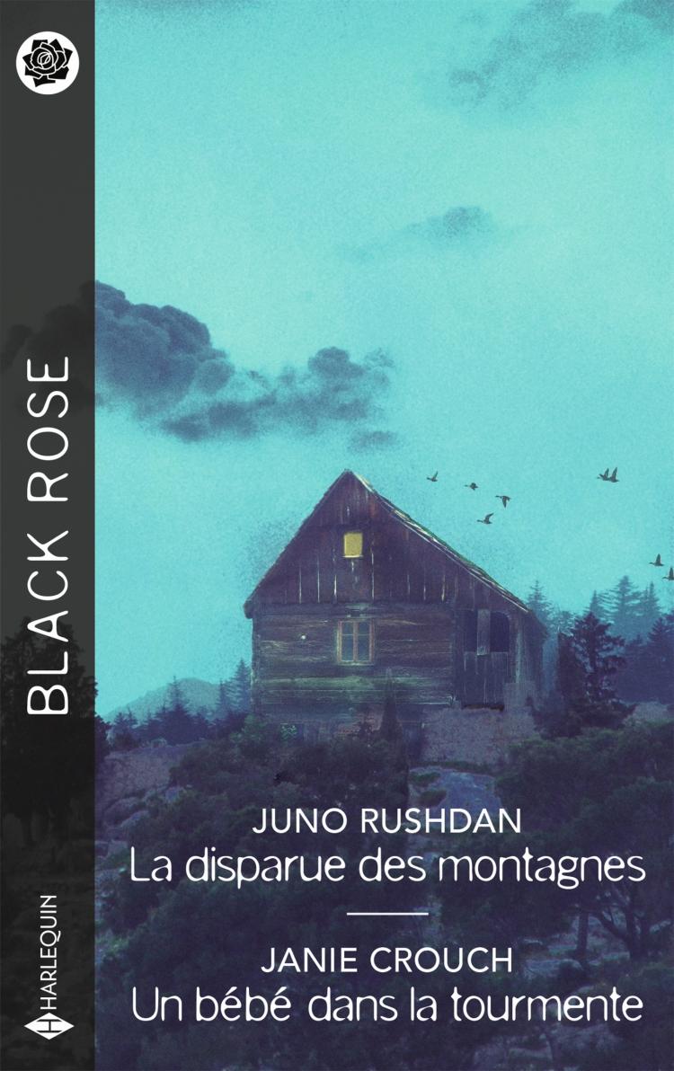 La disparue des montagnes / Un bébé dans la tourmente